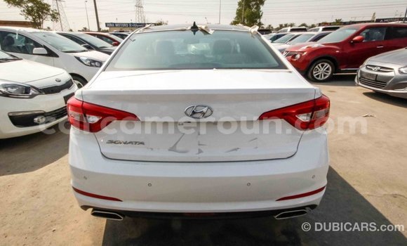 Buy Import Hyundai Sonata White Car in Import - Dubai in Adamawa Buy Import Hyundai Sonata White Car in Import - Dubai in Adamawa
