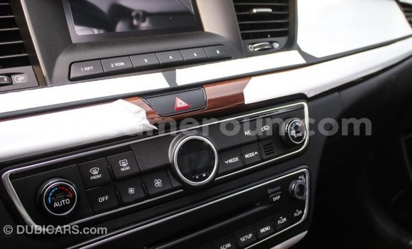 Buy Import Kia Cadenza Other Car in Import - Dubai in Adamawa Buy Import Kia Cadenza Other Car in Import - Dubai in Adamawa