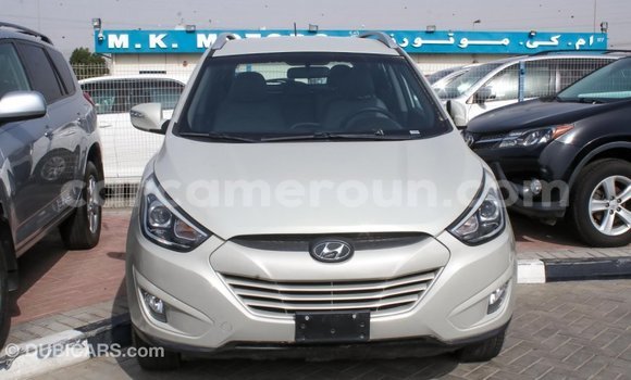 Acheter Import Voiture Hyundai Tucson Beige à Import - Dubai, Adamawa Acheter Import Voiture Hyundai Tucson Beige à Import - Dubai, Adamawa