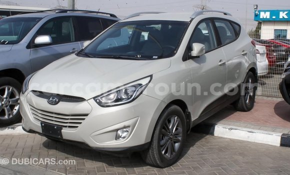 Acheter Import Voiture Hyundai Tucson Beige à Import - Dubai, Adamawa Acheter Import Voiture Hyundai Tucson Beige à Import - Dubai, Adamawa