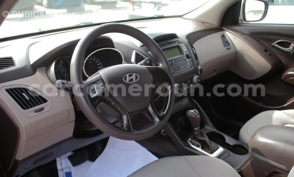 Acheter Import Voiture Hyundai Tucson Beige à Import - Dubai, Adamawa Acheter Import Voiture Hyundai Tucson Beige à Import - Dubai, Adamawa