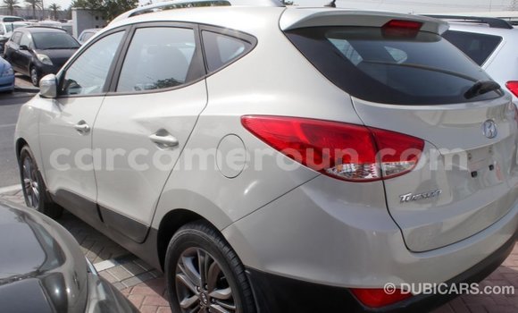 Acheter Import Voiture Hyundai Tucson Beige à Import - Dubai, Adamawa Acheter Import Voiture Hyundai Tucson Beige à Import - Dubai, Adamawa