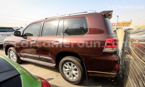 Buy Import Toyota Land Cruiser Brown Car in Import - Dubai in Adamawa Buy Import Toyota Land Cruiser Brown Car in Import - Dubai in Adamawa