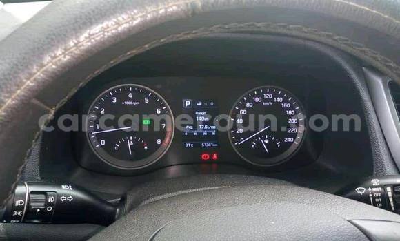 Sayi Na hannu Hyundai Tucson White Mota in Douala a Ƙasar Kamaru Sayi Na hannu Hyundai Tucson White Mota in Douala a Ƙasar Kamaru