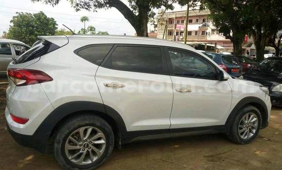 Sayi Na hannu Hyundai Tucson White Mota in Douala a Ƙasar Kamaru Sayi Na hannu Hyundai Tucson White Mota in Douala a Ƙasar Kamaru
