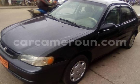 Sayi Na hannu Toyota Corolla Blue Mota in Douala a Ƙasar Kamaru Sayi Na hannu Toyota Corolla Blue Mota in Douala a Ƙasar Kamaru