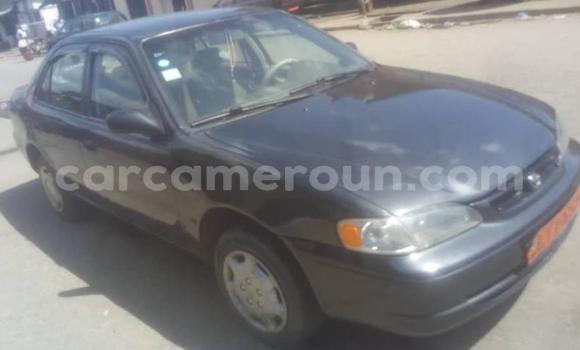 Sayi Na hannu Toyota Corolla Blue Mota in Douala a Ƙasar Kamaru Sayi Na hannu Toyota Corolla Blue Mota in Douala a Ƙasar Kamaru
