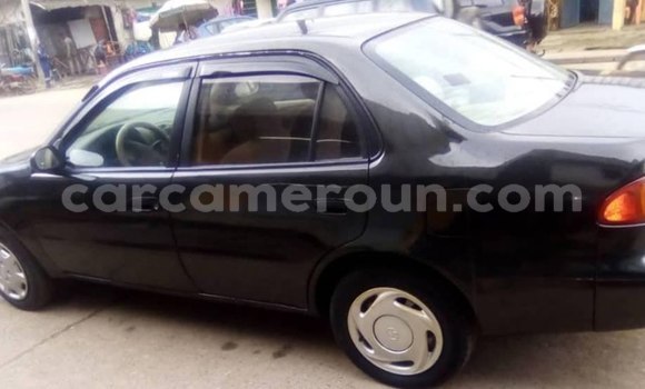 Sayi Na hannu Toyota Corolla Blue Mota in Douala a Ƙasar Kamaru Sayi Na hannu Toyota Corolla Blue Mota in Douala a Ƙasar Kamaru