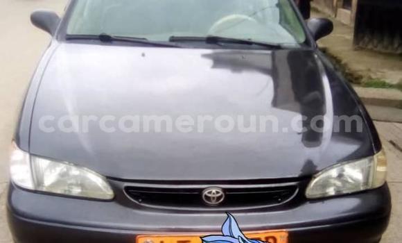 Sayi Na hannu Toyota Corolla Blue Mota in Douala a Ƙasar Kamaru Sayi Na hannu Toyota Corolla Blue Mota in Douala a Ƙasar Kamaru