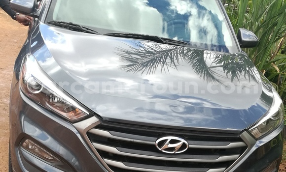 Acheter Occasion Voiture Hyundai Tucson Gris à Yaoundé, Central Cameroon Acheter Occasion Voiture Hyundai Tucson Gris à Yaoundé, Central Cameroon