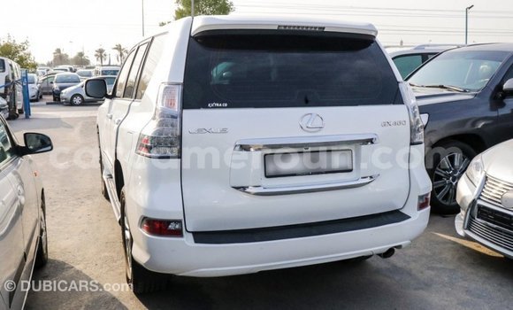 Acheter Import Voiture Lexus GX Blanc à Import - Dubai, Adamawa Acheter Import Voiture Lexus GX Blanc à Import - Dubai, Adamawa