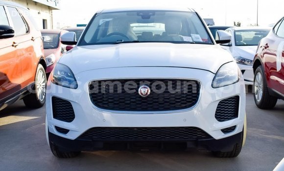 Acheter Import Voiture Jaguar E-Pace Blanc à Import - Dubai, Adamawa Acheter Import Voiture Jaguar E-Pace Blanc à Import - Dubai, Adamawa