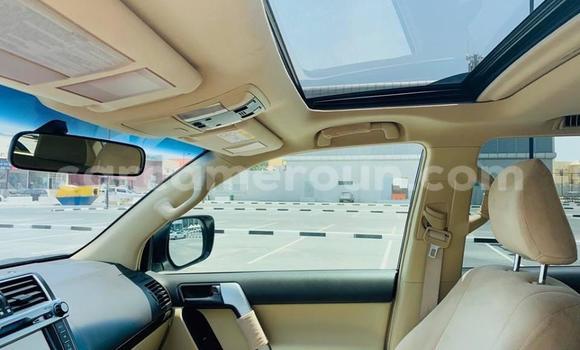 Acheter Occasion Voiture Toyota Land Cruiser Prado Blanc à Douala, Littoral Cameroon Acheter Occasion Voiture Toyota Land Cruiser Prado Blanc à Douala, Littoral Cameroon