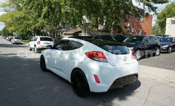Buy Used Hyundai Veloster White Car in Yaounde in Central Cameroon Buy Used Hyundai Veloster White Car in Yaounde in Central Cameroon
