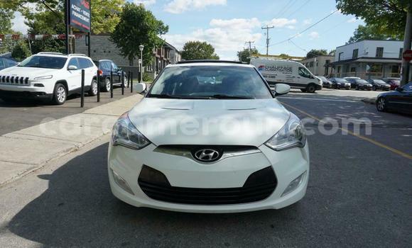 Buy Used Hyundai Veloster White Car in Yaounde in Central Cameroon Buy Used Hyundai Veloster White Car in Yaounde in Central Cameroon