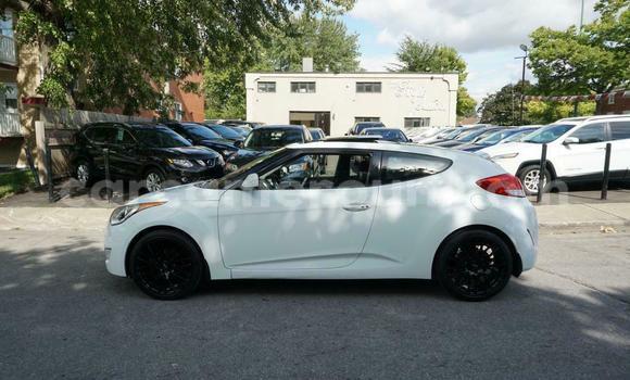 Buy Used Hyundai Veloster White Car in Yaounde in Central Cameroon Buy Used Hyundai Veloster White Car in Yaounde in Central Cameroon