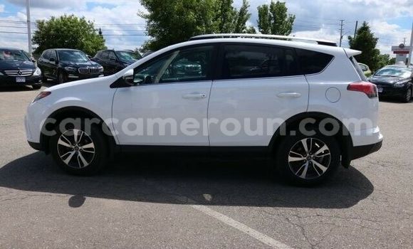 Buy Used Toyota RAV4 White Car in Yaounde in Central Cameroon Buy Used Toyota RAV4 White Car in Yaounde in Central Cameroon