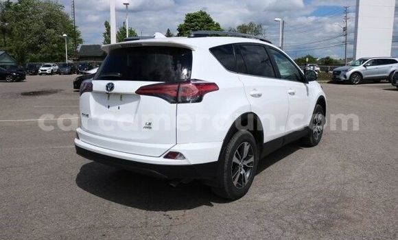 Buy Used Toyota RAV4 White Car in Yaounde in Central Cameroon Buy Used Toyota RAV4 White Car in Yaounde in Central Cameroon