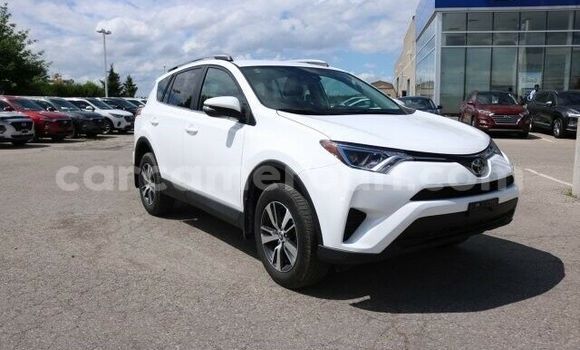 Buy Used Toyota RAV4 White Car in Yaounde in Central Cameroon Buy Used Toyota RAV4 White Car in Yaounde in Central Cameroon