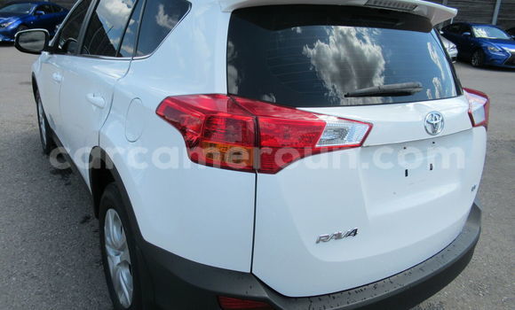 Buy Used Toyota RAV4 White Car in Yaounde in Central Cameroon Buy Used Toyota RAV4 White Car in Yaounde in Central Cameroon
