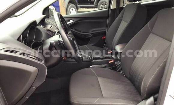 Buy Used Ford Focus White Car in Yaounde in Central Cameroon Buy Used Ford Focus White Car in Yaounde in Central Cameroon