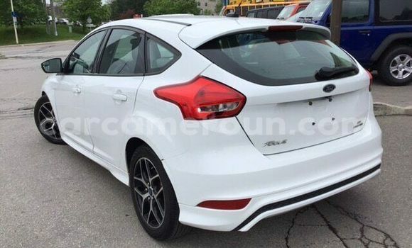 Buy Used Ford Focus White Car in Yaounde in Central Cameroon Buy Used Ford Focus White Car in Yaounde in Central Cameroon