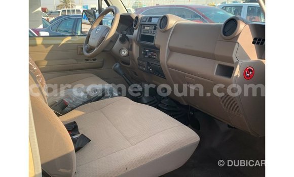 Acheter Import Voiture Toyota Land Cruiser Beige à Import - Dubai, Adamawa Acheter Import Voiture Toyota Land Cruiser Beige à Import - Dubai, Adamawa