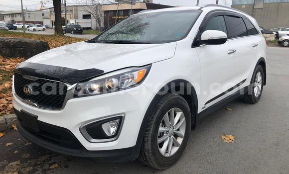 Buy Used Kia Sorento White Car in Yaounde in Central Cameroon Buy Used Kia Sorento White Car in Yaounde in Central Cameroon