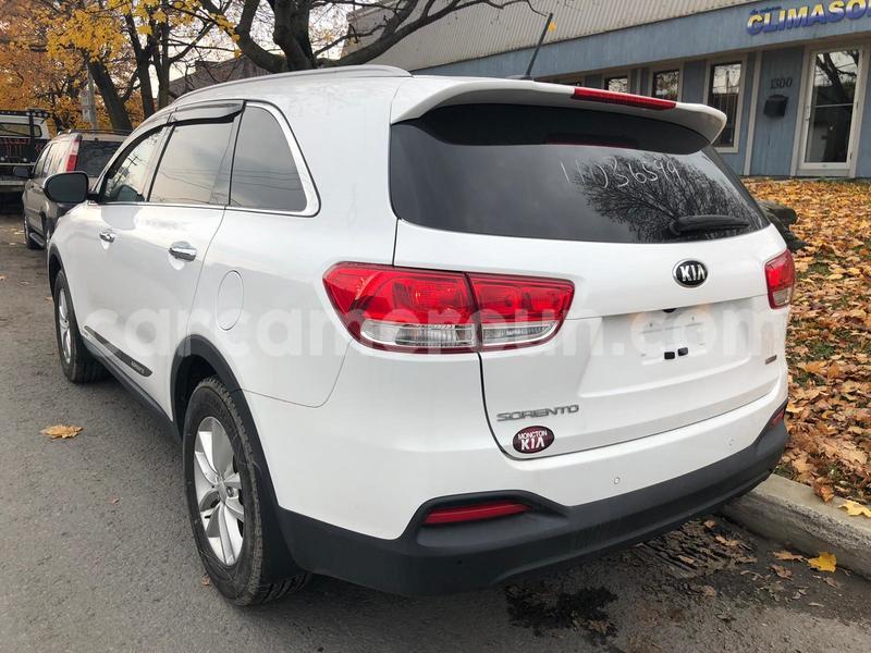 Big with watermark kia sorento central cameroon yaound%c3%a9 7165