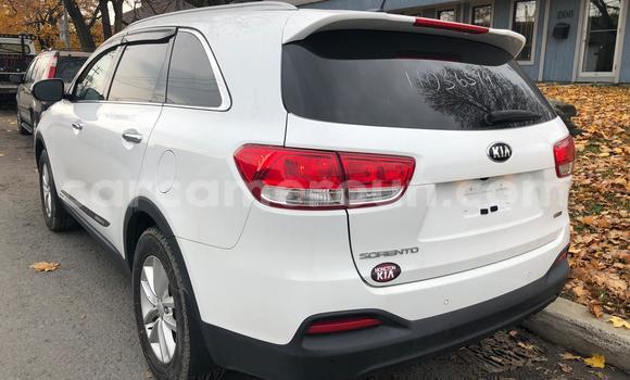 Buy Used Kia Sorento White Car in Yaounde in Central Cameroon Buy Used Kia Sorento White Car in Yaounde in Central Cameroon