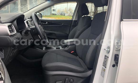 Buy Used Kia Sorento White Car in Yaounde in Central Cameroon Buy Used Kia Sorento White Car in Yaounde in Central Cameroon