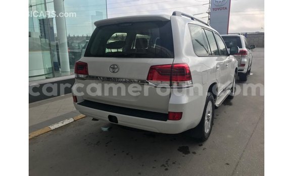 Acheter Import Voiture Toyota Land Cruiser Blanc à Import - Dubai, Adamawa Acheter Import Voiture Toyota Land Cruiser Blanc à Import - Dubai, Adamawa
