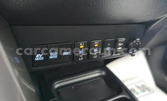 Sayi Na hannu Toyota RAV4 Sauran Mota in Douala a Ƙasar Kamaru Sayi Na hannu Toyota RAV4 Sauran Mota in Douala a Ƙasar Kamaru