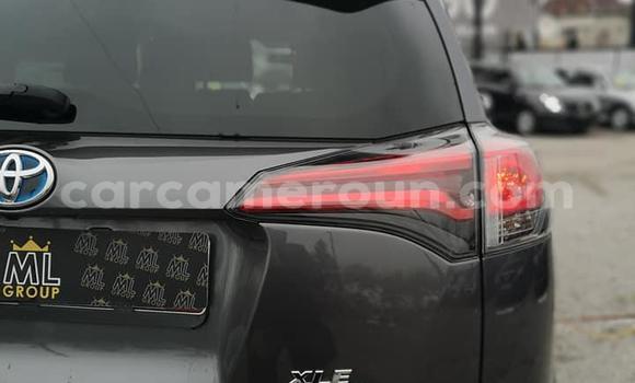 Sayi Na hannu Toyota RAV4 Sauran Mota in Douala a Ƙasar Kamaru Sayi Na hannu Toyota RAV4 Sauran Mota in Douala a Ƙasar Kamaru
