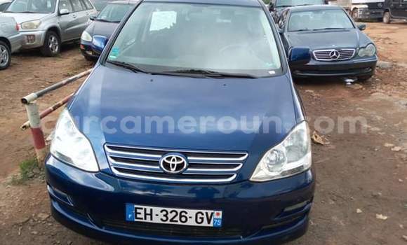 Buy Import Toyota Avensis Verso Blue Car in Yaounde in Central Cameroon Buy Import Toyota Avensis Verso Blue Car in Yaounde in Central Cameroon
