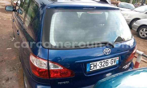 Buy Import Toyota Avensis Verso Blue Car in Yaounde in Central Cameroon Buy Import Toyota Avensis Verso Blue Car in Yaounde in Central Cameroon