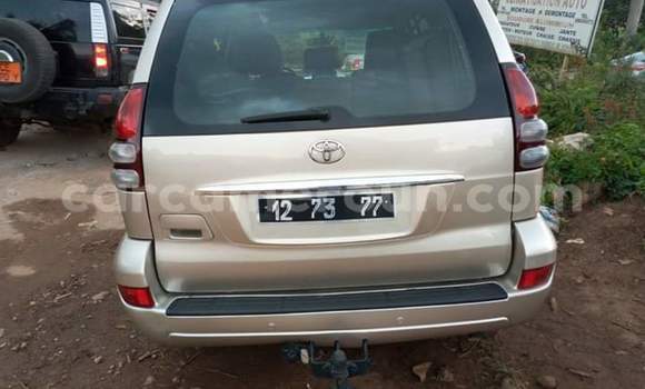 Buy Import Toyota Prado Silver Car in Yaounde in Central Cameroon Buy Import Toyota Prado Silver Car in Yaounde in Central Cameroon