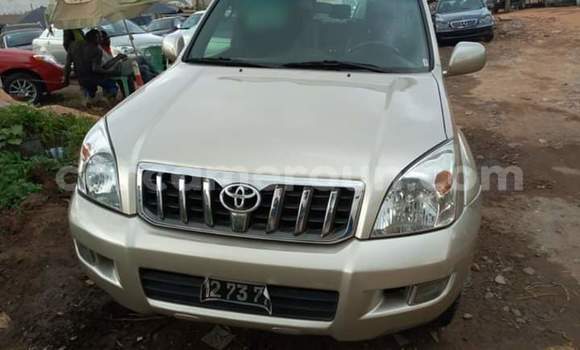 Buy Import Toyota Prado Silver Car in Yaounde in Central Cameroon Buy Import Toyota Prado Silver Car in Yaounde in Central Cameroon