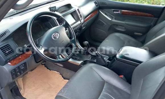 Buy Import Toyota Prado Silver Car in Yaounde in Central Cameroon Buy Import Toyota Prado Silver Car in Yaounde in Central Cameroon