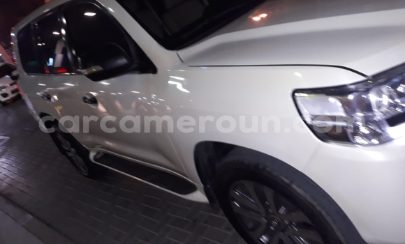 Acheter Occasion Voiture Toyota Land Cruiser Blanc à Yaoundé, Central Cameroon Acheter Occasion Voiture Toyota Land Cruiser Blanc à Yaoundé, Central Cameroon