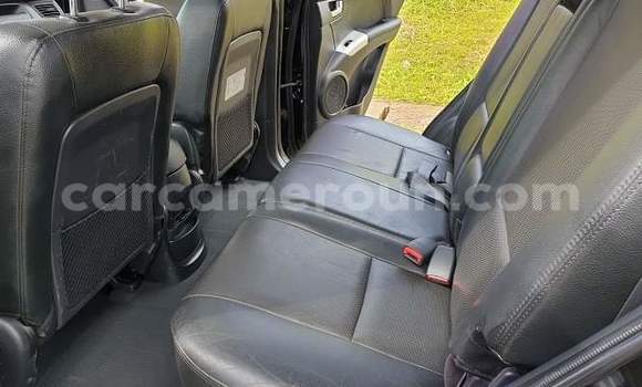 Buy Used Kia Sportage Black Car in Yaounde in Central Cameroon Buy Used Kia Sportage Black Car in Yaounde in Central Cameroon