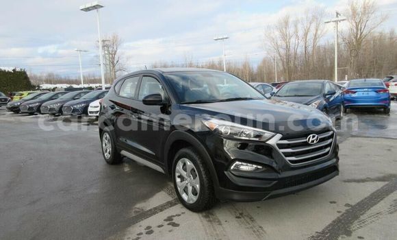 Buy Used Hyundai Tucson Black Car in Yaounde in Central Cameroon Buy Used Hyundai Tucson Black Car in Yaounde in Central Cameroon