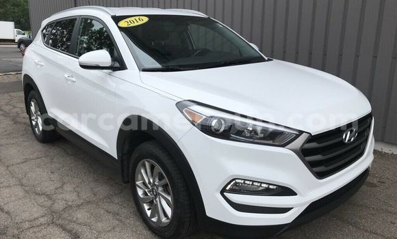 Buy Used Hyundai Tucson White Car in Yaounde in Central Cameroon Buy Used Hyundai Tucson White Car in Yaounde in Central Cameroon