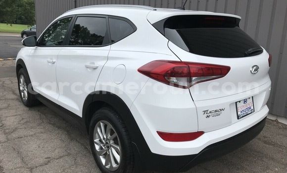 Buy Used Hyundai Tucson White Car in Yaounde in Central Cameroon Buy Used Hyundai Tucson White Car in Yaounde in Central Cameroon