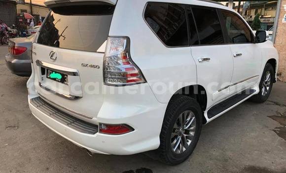 Acheter Occasion Voiture Lexus GX Blanc à Douala, Littoral Cameroon Acheter Occasion Voiture Lexus GX Blanc à Douala, Littoral Cameroon