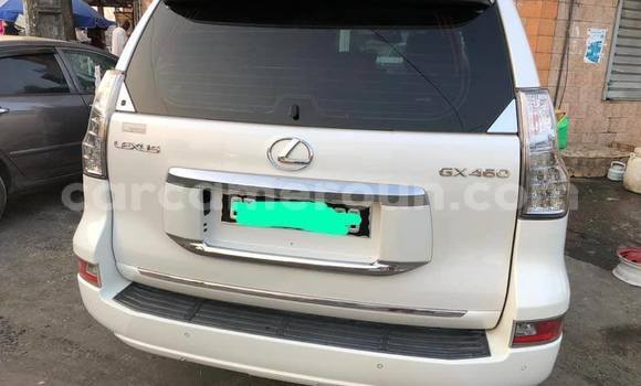 Acheter Occasion Voiture Lexus GX Blanc à Douala, Littoral Cameroon Acheter Occasion Voiture Lexus GX Blanc à Douala, Littoral Cameroon