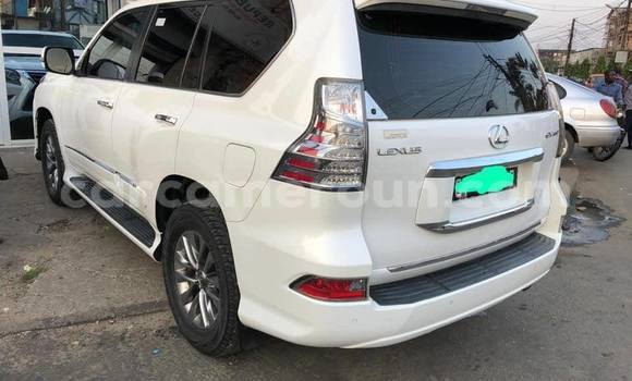 Acheter Occasion Voiture Lexus GX Blanc à Douala, Littoral Cameroon Acheter Occasion Voiture Lexus GX Blanc à Douala, Littoral Cameroon