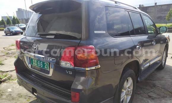 Acheter Occasion Voiture Toyota Land Cruiser Autre à Douala, Littoral Cameroon Acheter Occasion Voiture Toyota Land Cruiser Autre à Douala, Littoral Cameroon