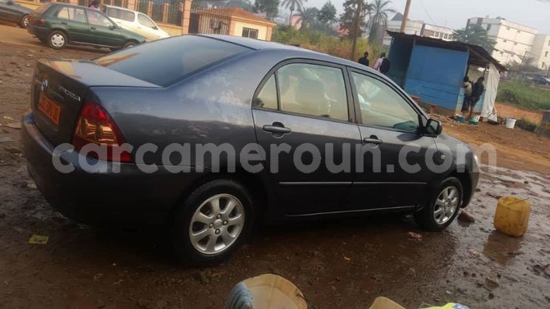 Big with watermark toyota corolla littoral cameroon douala 7359