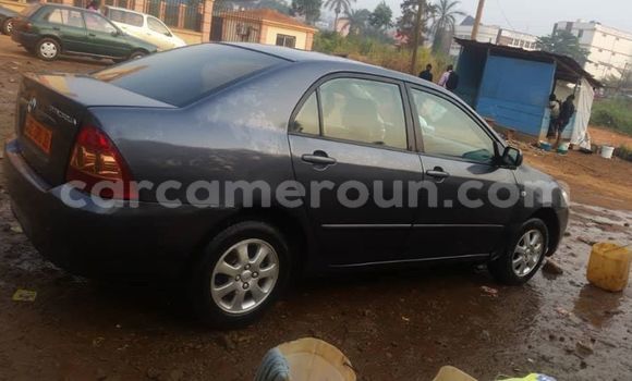 Acheter Occasion Voiture Toyota Corolla Autre à Douala, Littoral Cameroon Acheter Occasion Voiture Toyota Corolla Autre à Douala, Littoral Cameroon